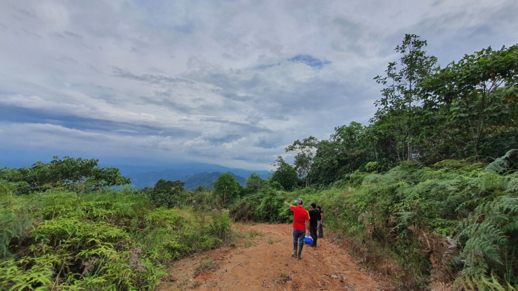 EXPEDICIÓN MORRO AZUL SERRANÍA DE SANTA BARBARA (ID947) - AVENTUREROS X+